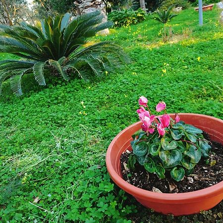 B&B Verdeoliva Модуньо Екстер'єр фото