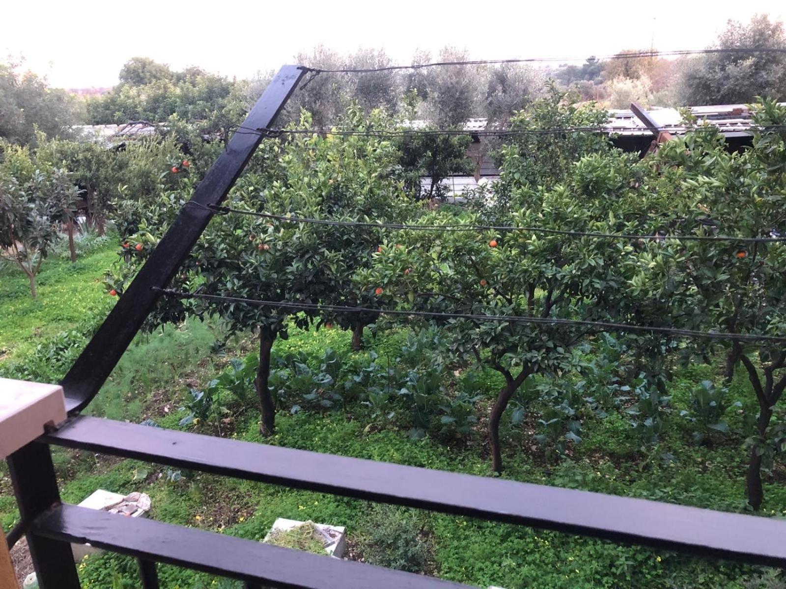 B&B Verdeoliva Модуньо Екстер'єр фото