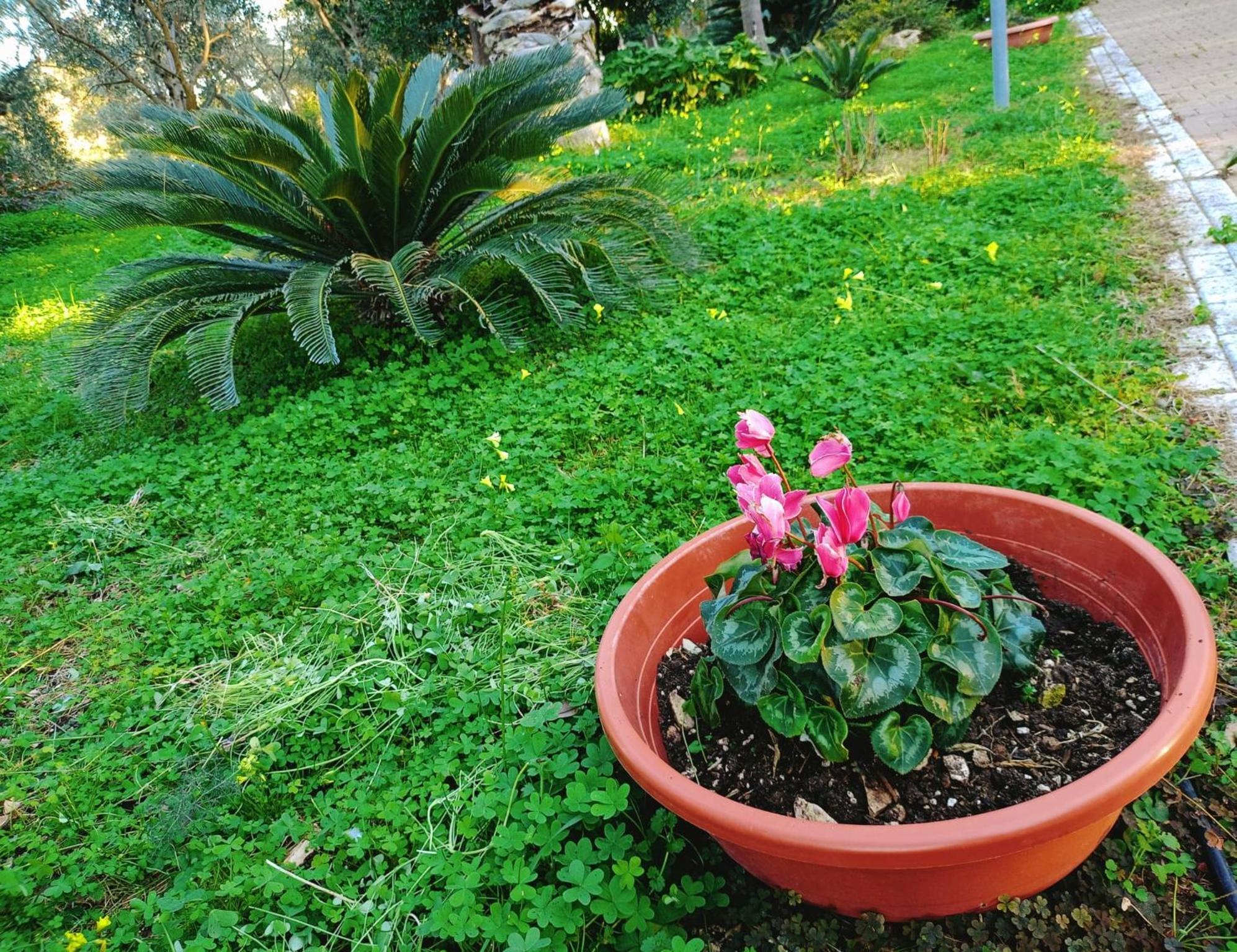B&B Verdeoliva Модуньо Екстер'єр фото
